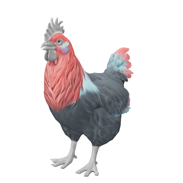 Catalana Chicken — Black with Red Head
