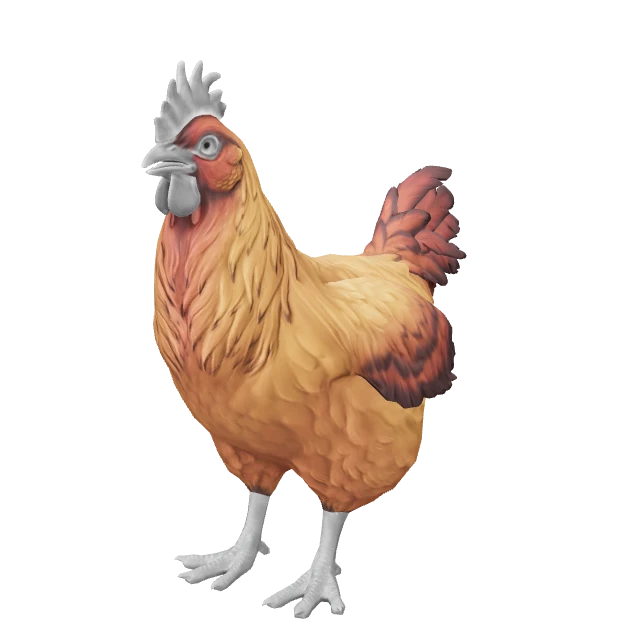 Catalana Chicken — Dark Orange