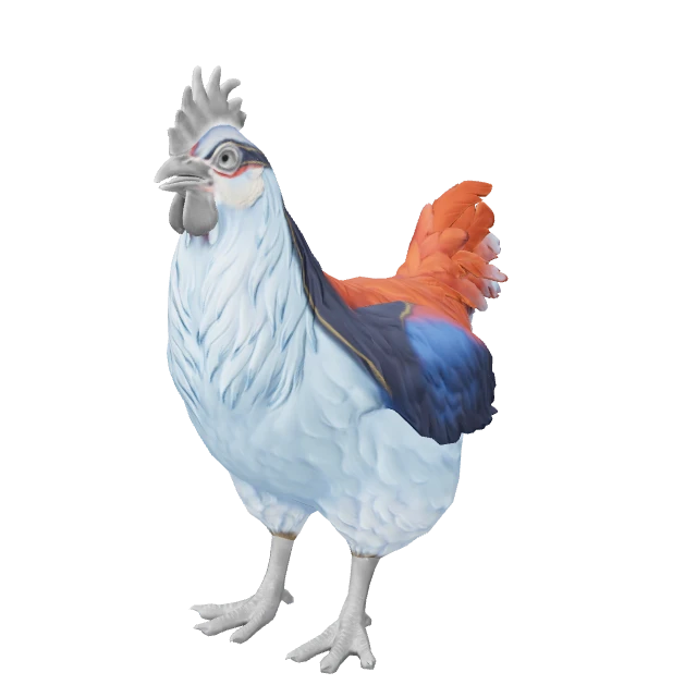 Catalana Chicken — Light Blue and Red
