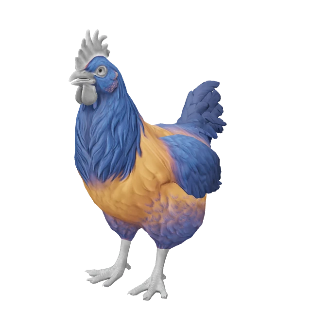 Catalana Chicken — Orange Blue Neck