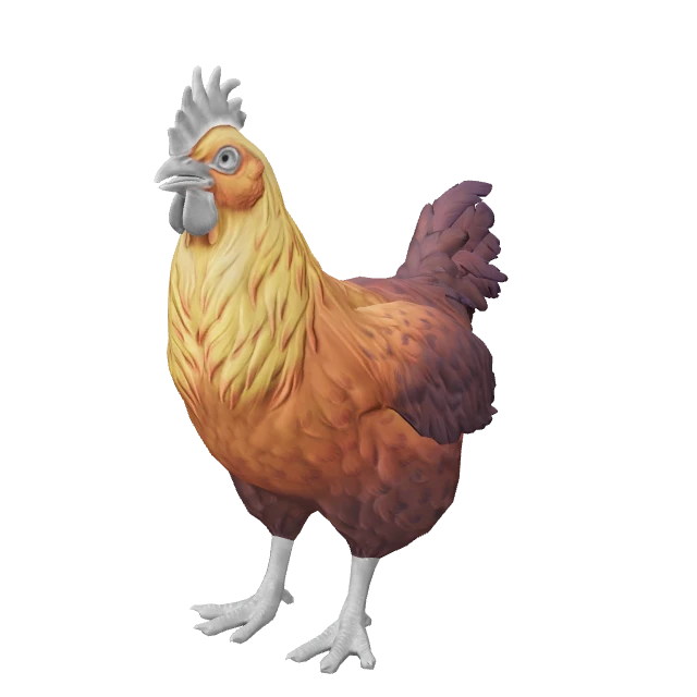 Catalana Chicken — Yellow Red Gradient