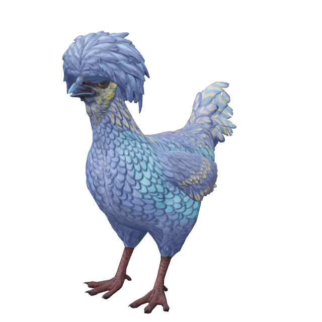Polish Chicken — Blue Yellow