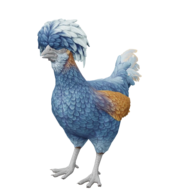 Polish Chicken — Blue