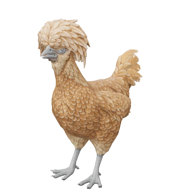 Polish Chicken — Brown