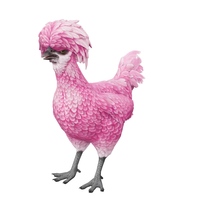 Polish Chicken — Pink