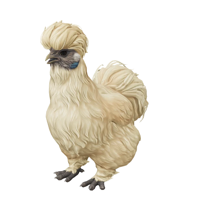 Silkie Chicken — Leopard