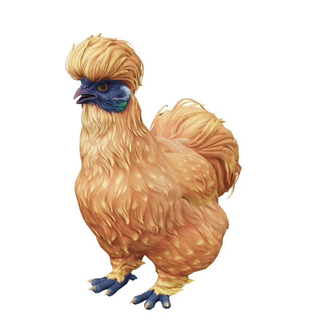 Silkie Chicken — Orange