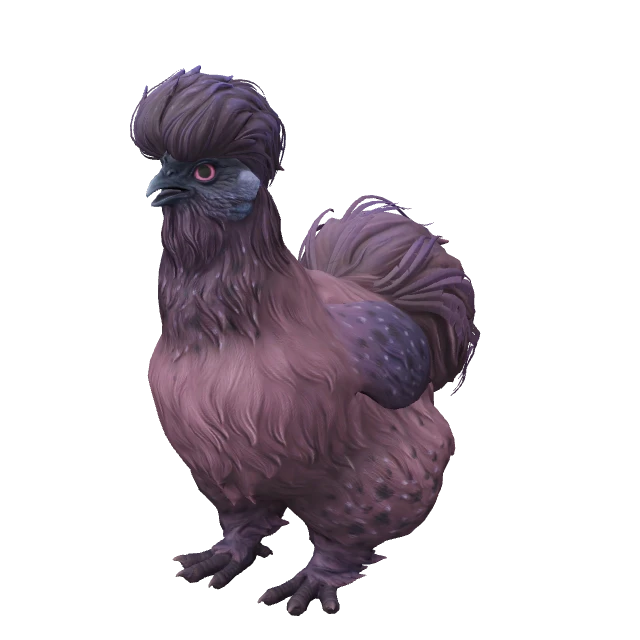 Silkie Chicken — Purple