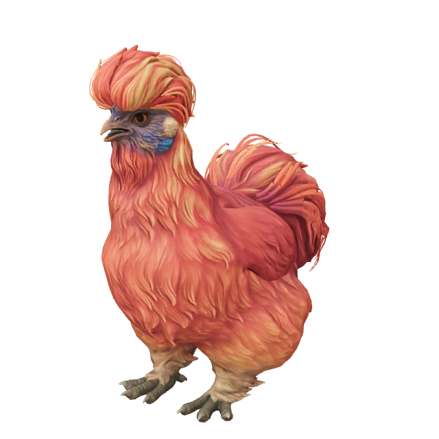 Silkie Chicken — Red